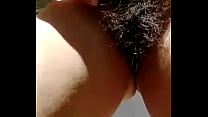 Pelos