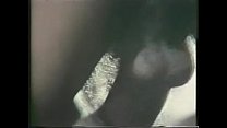 Vintage Interracial Fuck 1