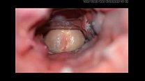 inside creampie - www.fxxkporn.com