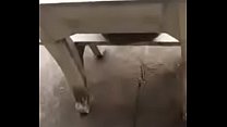 Hidden cumshots public