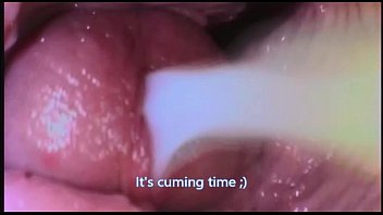 Journey to the Inside of the Pussy